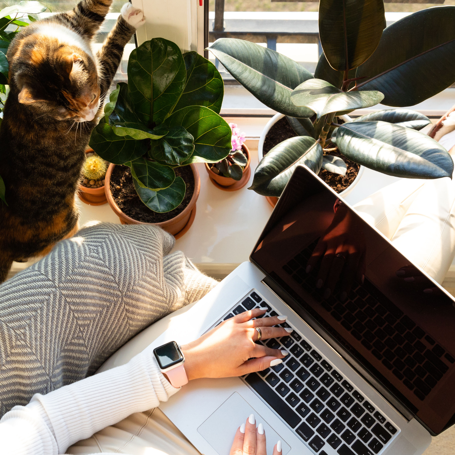Common Legal Mistakes Made by Entrepreneurs (and how to avoid them!)