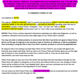 Website Terms of Use and Privacy Policy (E-Commerce Terms) - Contracts Market